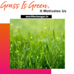 Grass is green it motivates us
