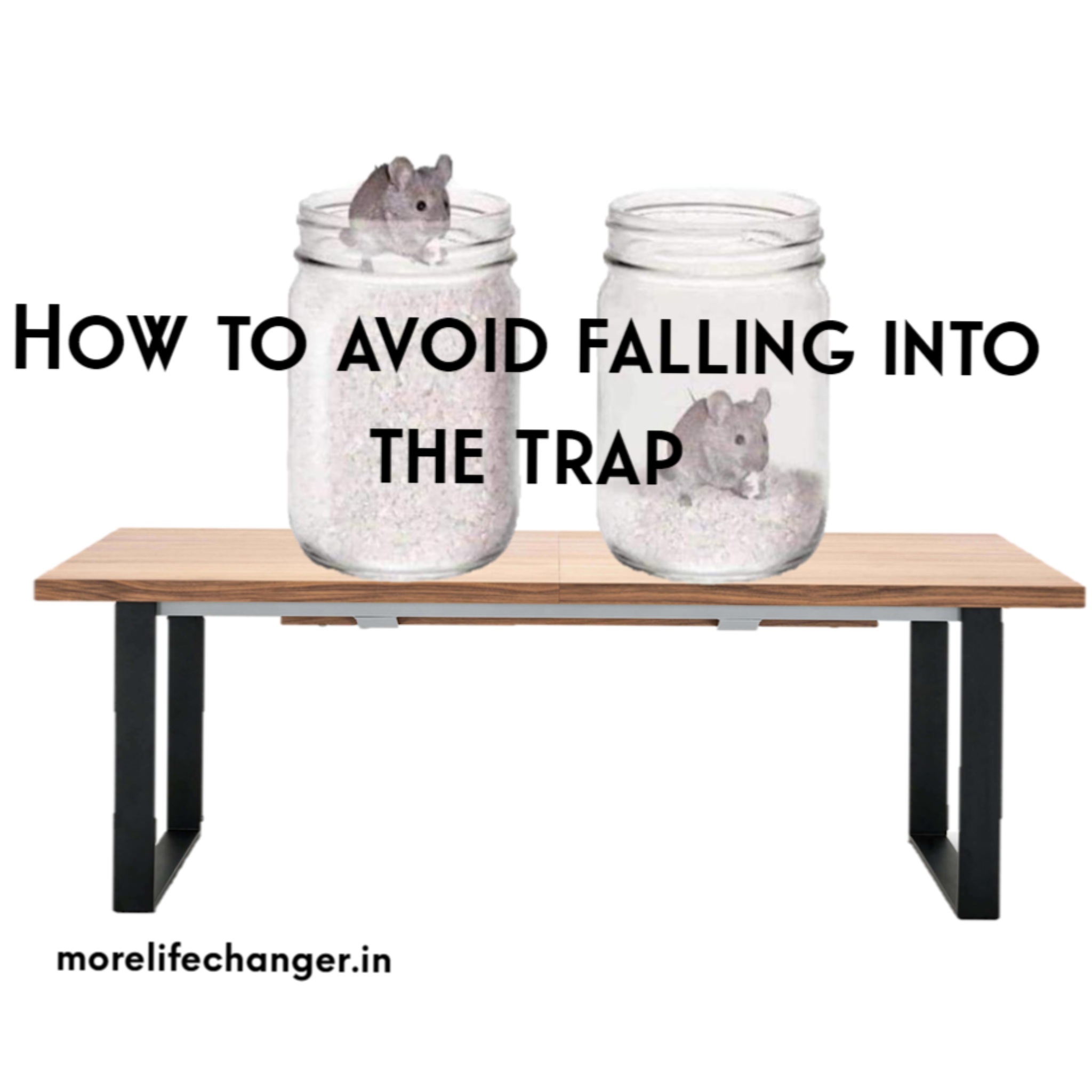 Story of mouse -How to avoid falling in trap