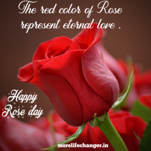 Happy rose day , Valentine week