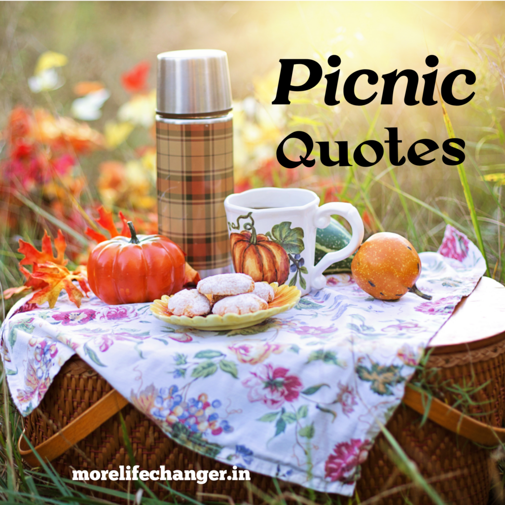 Best Quotes For Picnic