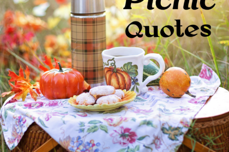 26 Amazing picnic quotes