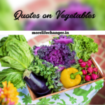 26 Amazing quotes on vegetables