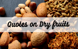 26 Amazing quotes on dried fruits