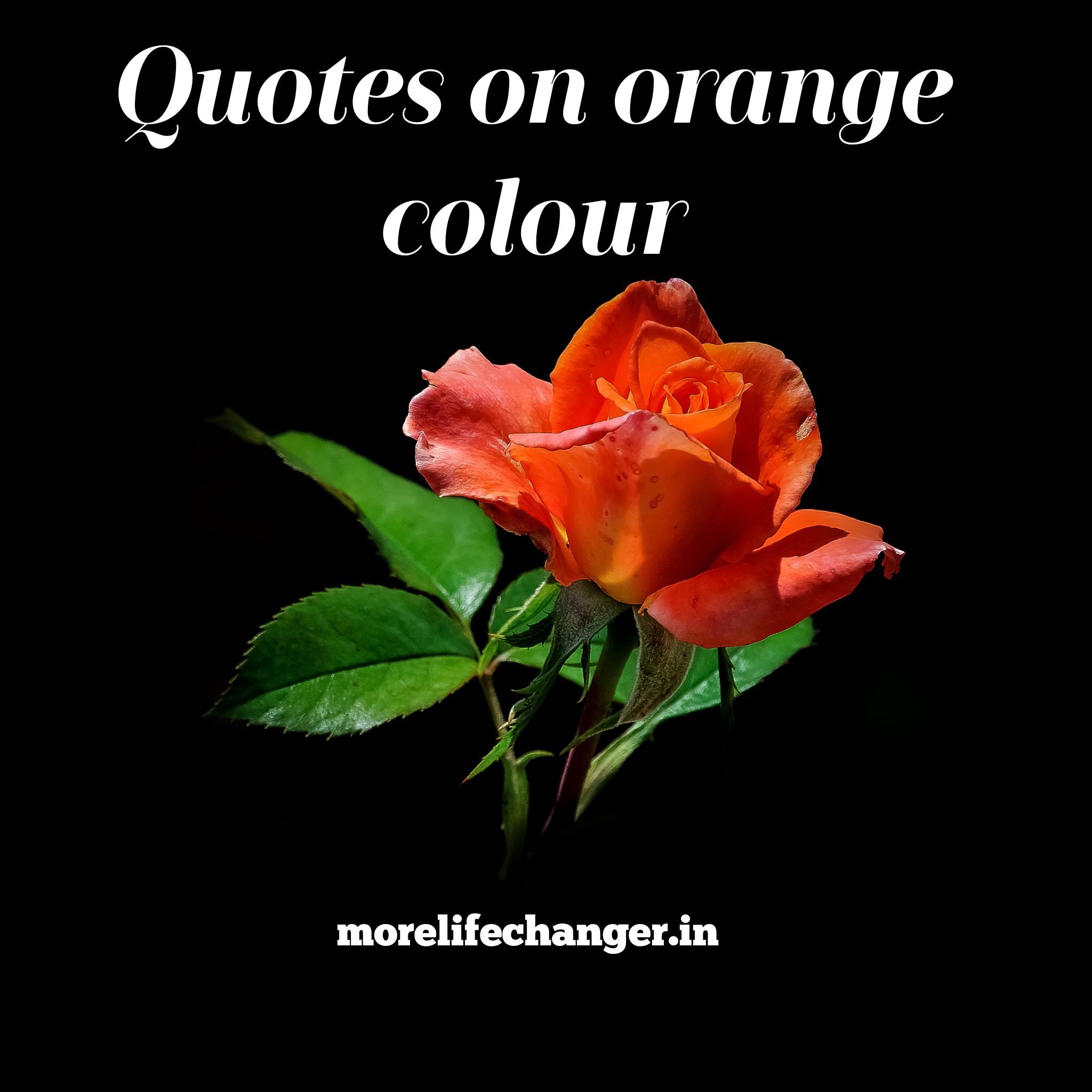 25 true meaning of Orange color