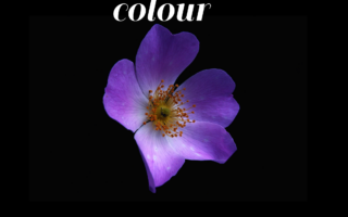 25 True meaning of Violet color
