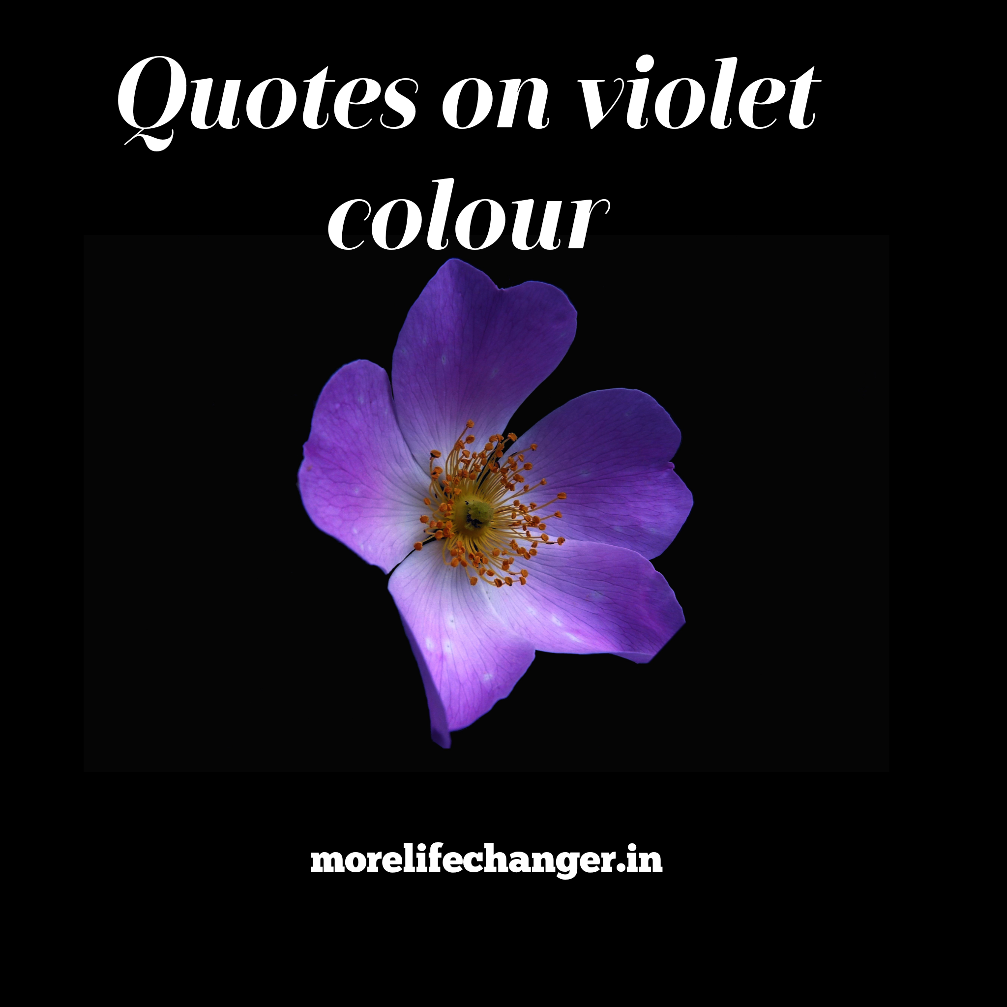 25 True meaning of Violet color