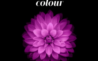 25 True meaning of Purple color