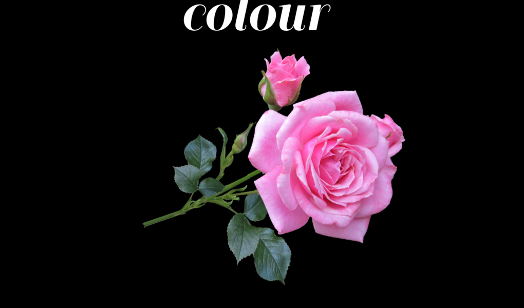 25 True meanings of pink color