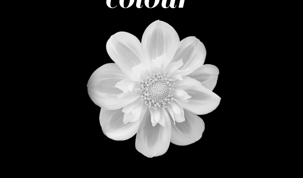 25 True meaning of White color