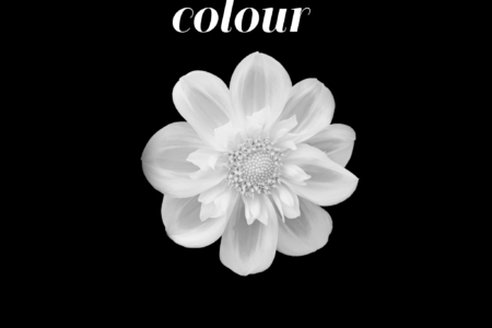 25 True meaning of White color