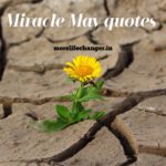 Miracle May quotes