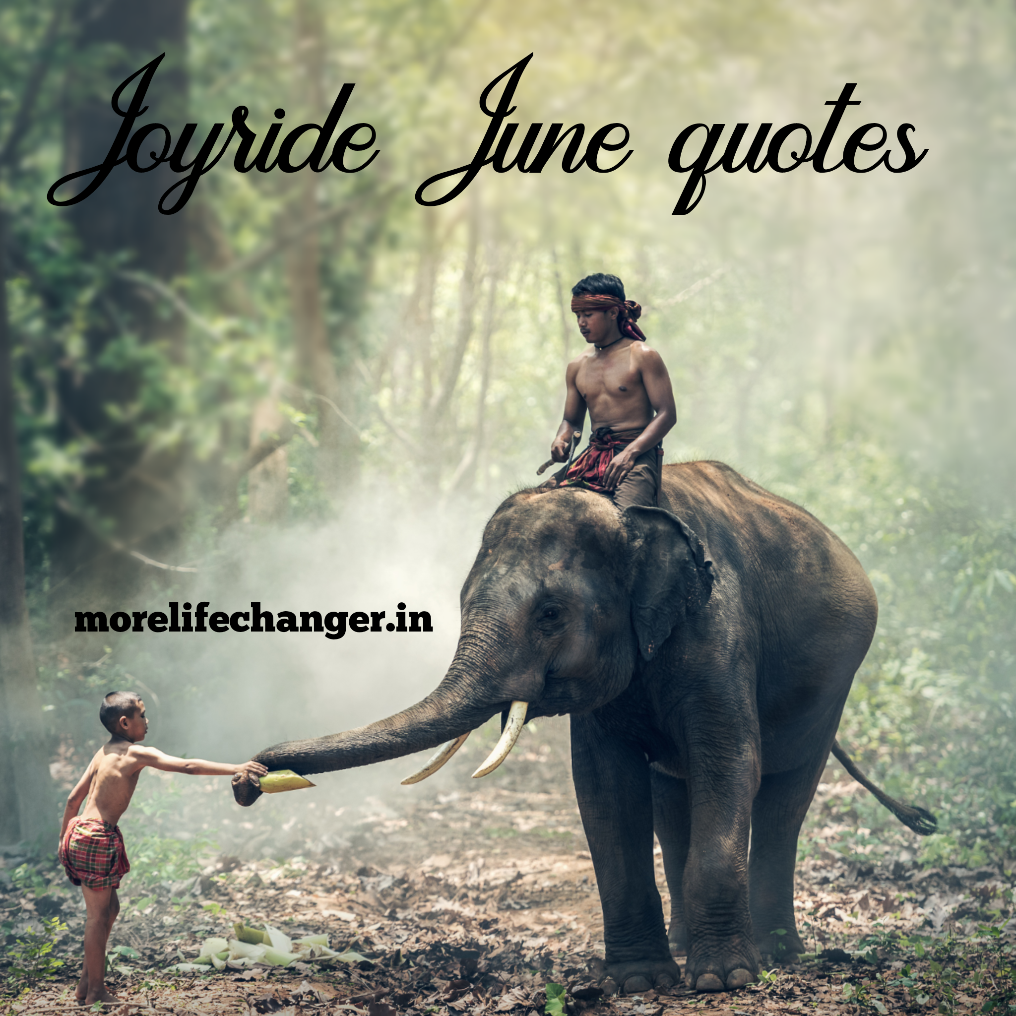 Joyride June Quotes