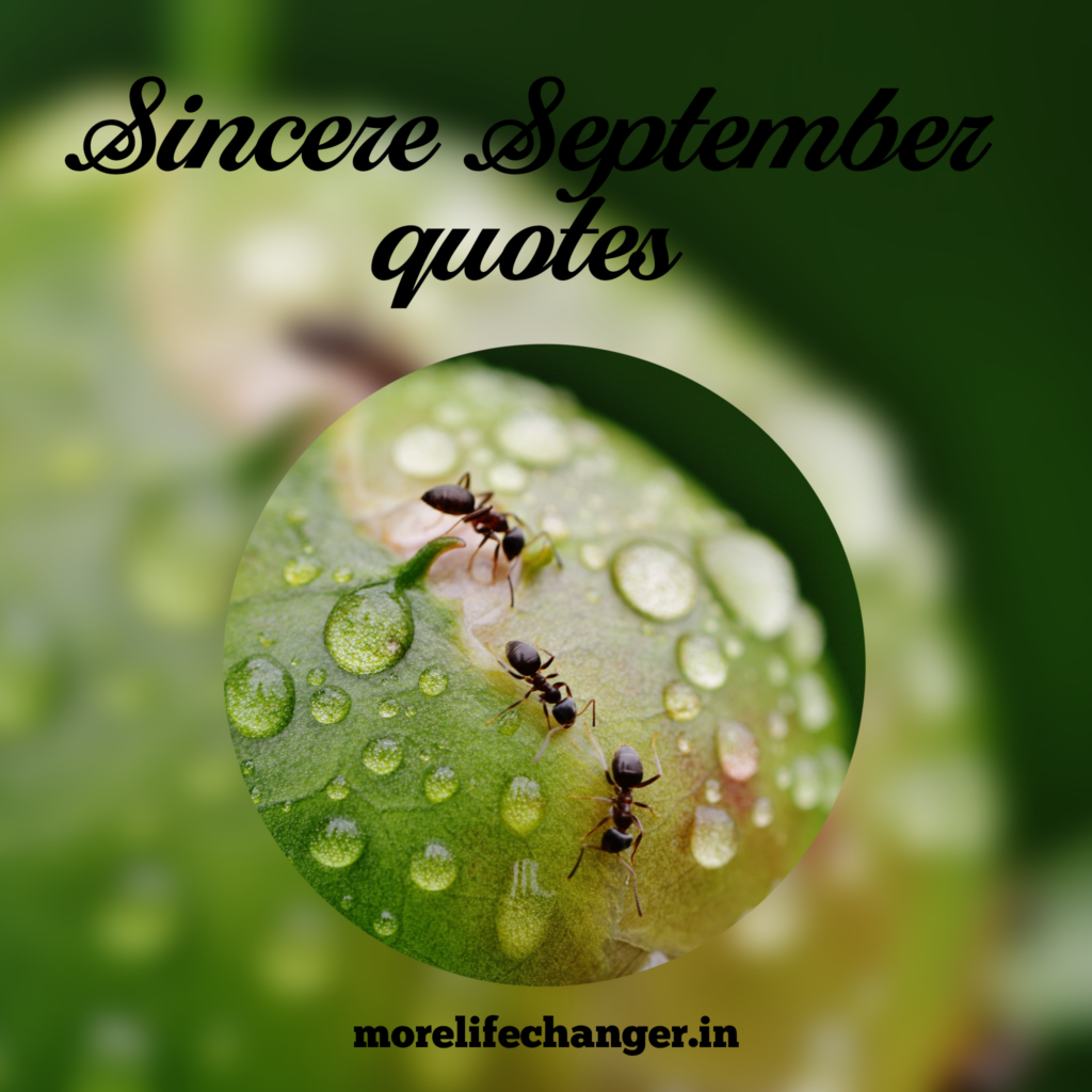 28-sincere-september-quotes-more-life-changer