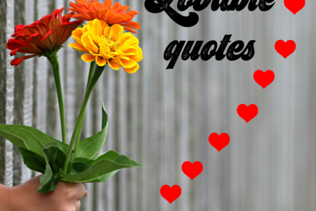 Lovable quotes
