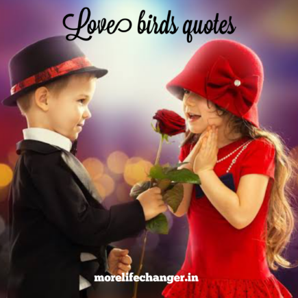 Love birds quotes