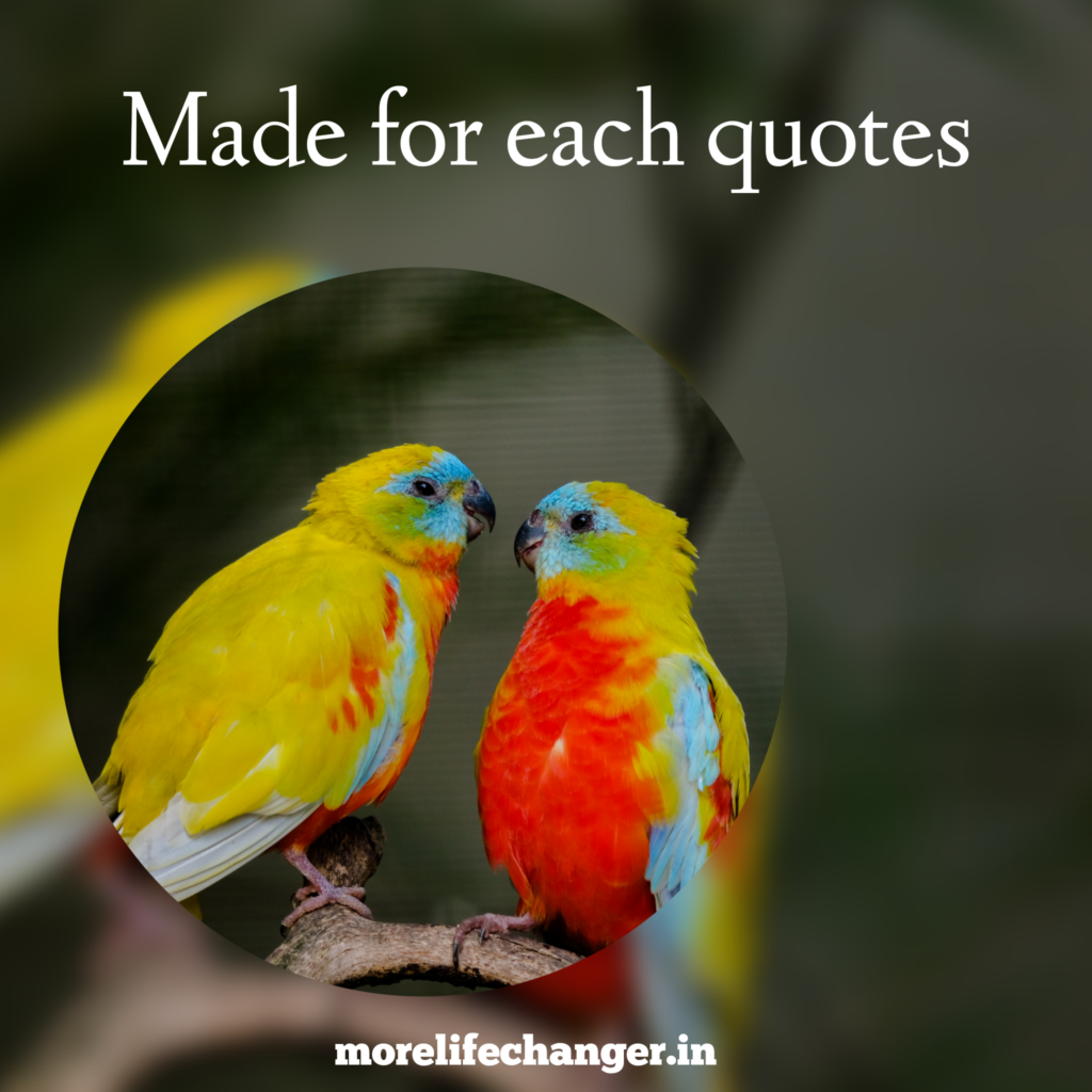 84 Awesome made for each other quotes - More life changer