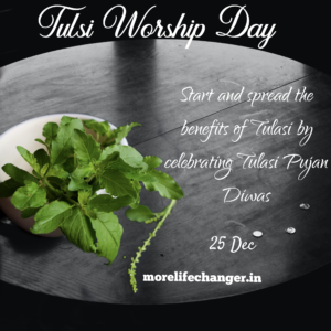 Tulsi worship Day