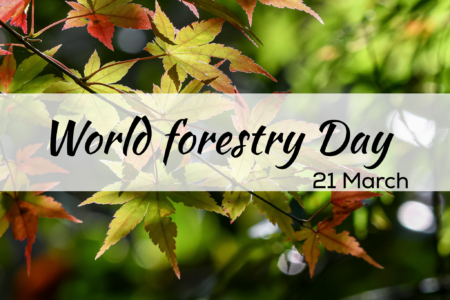 World forestry day