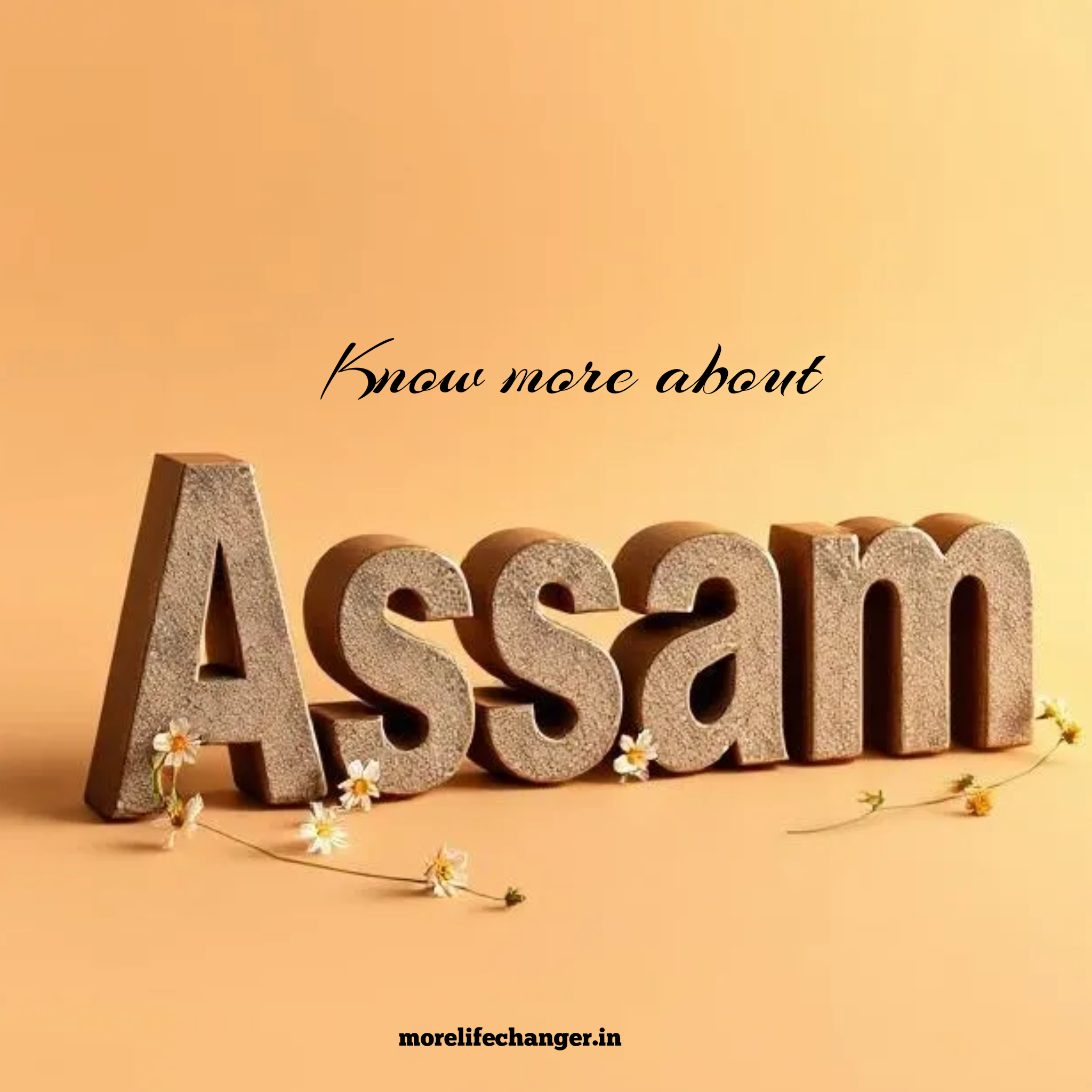 468+ Quiz question on Assam